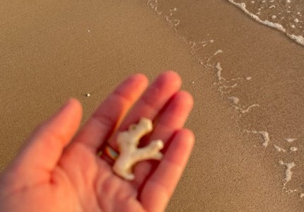 3字网名精选，梦飞扬、云轻舞等，寓意美好插图