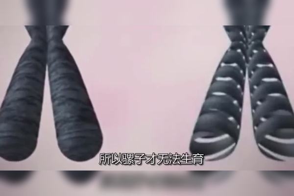 痦子位置透露健康与命运信息插图 痦子位置透露健康与命运信息插图