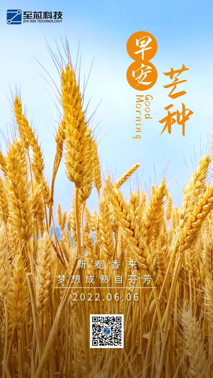 芒种，播种希望，收获幸福插图