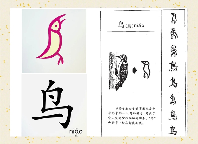 翁字偏旁为羽,源于字义与鸟关联插图 翁字偏旁为羽,源于字义与鸟关联插图