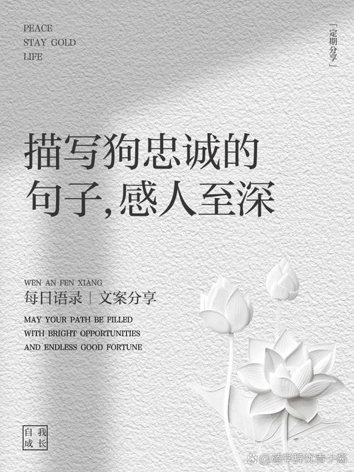 赤子之心，忠诚之选——狗插图