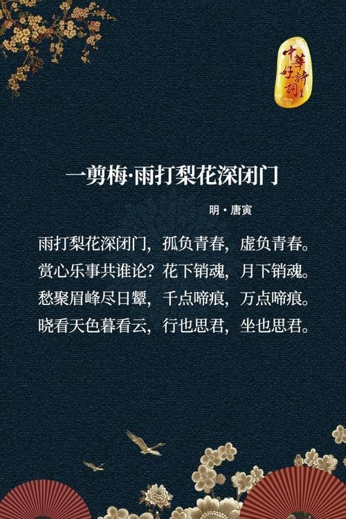 雨打梨花是什么生肖插图