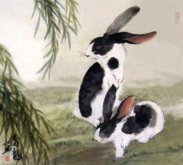 一大一小揭秘，生肖兔VS龙蛇之争插图