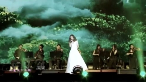 以歌为桥，共赴心灵之旅——记歌手名字的音乐世界插图