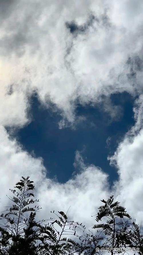 阳光甜心 🌞，清风白驹逸 ✨插图