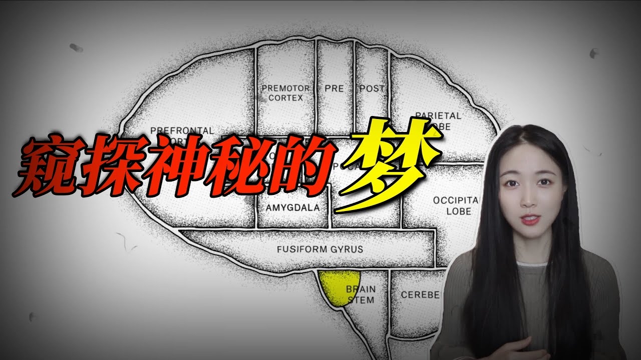 已婚女性梦到牙齿掉落，象征内心不安与能力焦虑插图