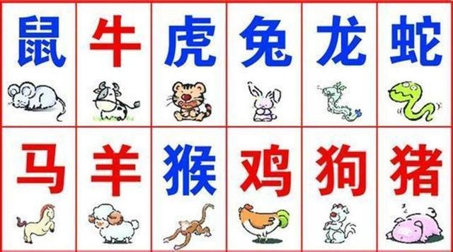 一举成名，揭秘与生肖的神秘联系插图