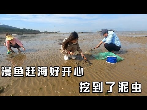 阳江初一十五退潮赶海秘境指南插图