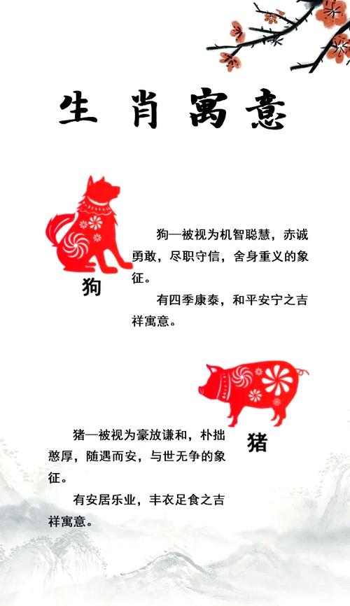 一见如故与生肖马详解插图