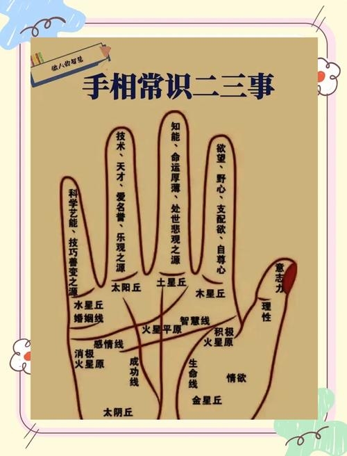 易经智慧在手相中的显现，探索古老智慧与现代手相学的融合插图