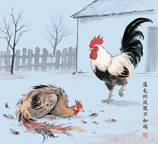 一毛不拔指的是鸡或龙？插图