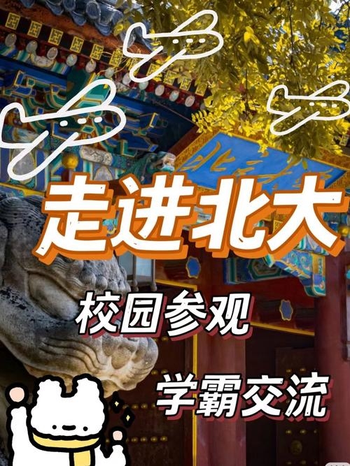 一梦到北大，追寻学术殿堂的绮丽之旅插图