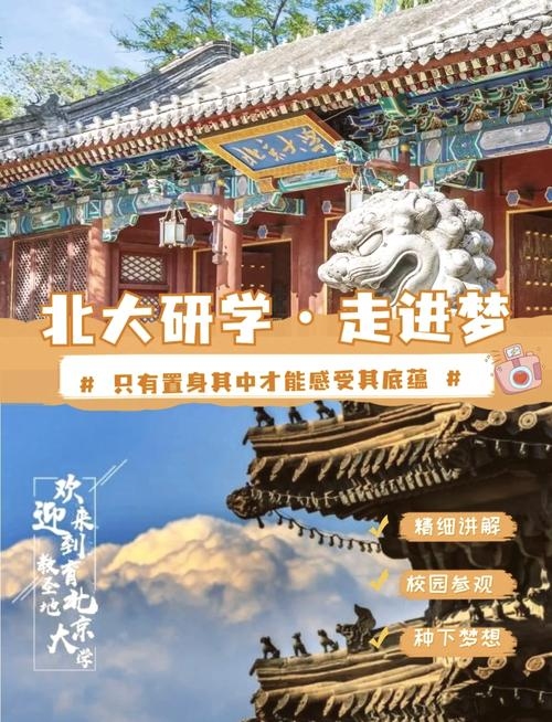 一梦入北大，邂逅学术殿堂的奇妙旅程插图