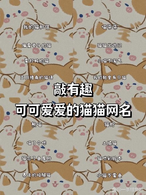 有内涵网名推荐乖囧猫°、晴栀°、如秋霜漫舞般的淡然脱俗气韵插图