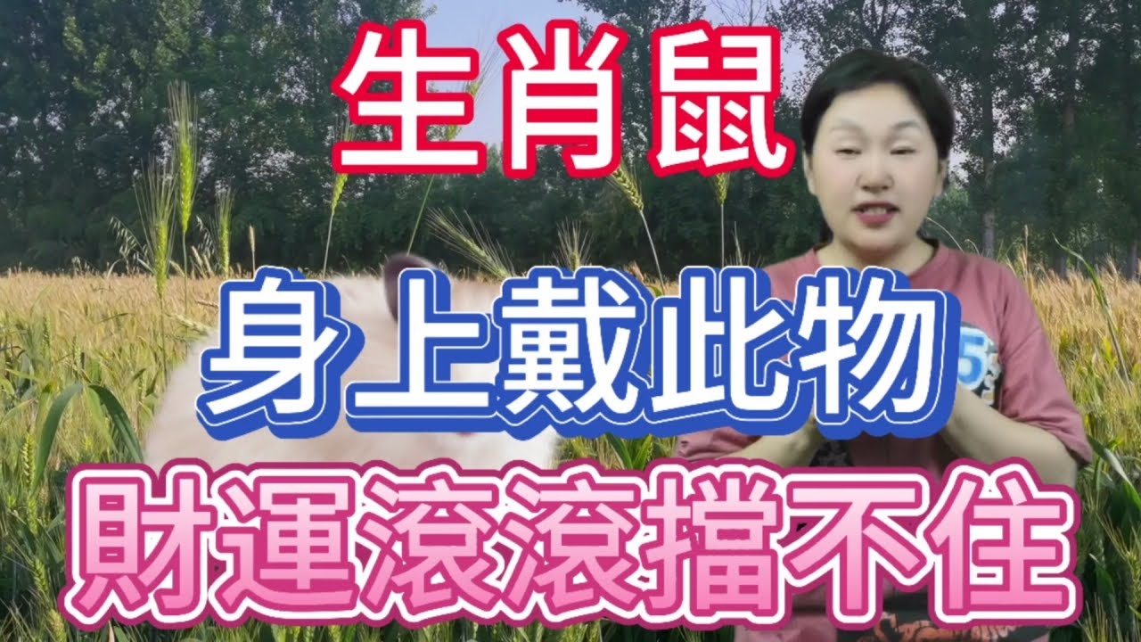 玉兔出宫带宝，生肖鼠常临门插图