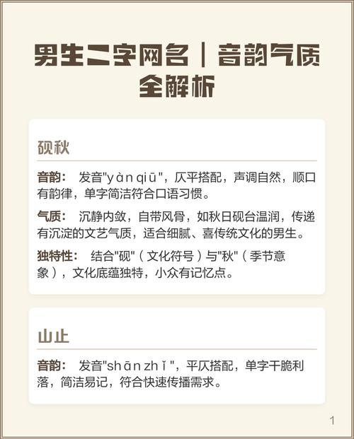 音韵独特，那些让人耳畔回响的好听男生网名插图