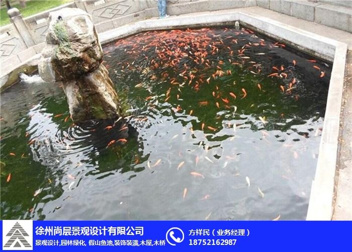 养鱼风水，守护水质生态的智慧之道插图