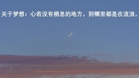 一、网名推荐，流浪灵枫屿楠希言情奴  寓意自由不羁，含哲理深意。，清风明朗慕屿楠浅语悠然，深海静流睿智云影雅插图