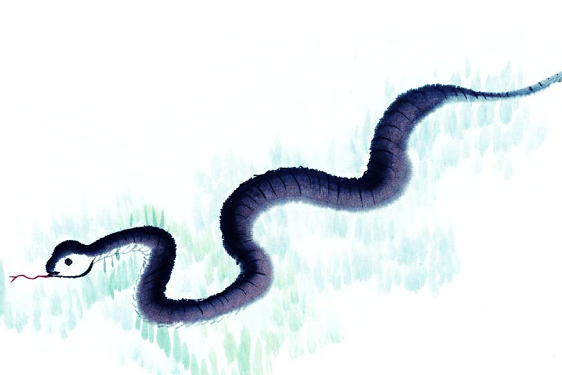 一筹莫展，蛇为解谜生肖之首？插图