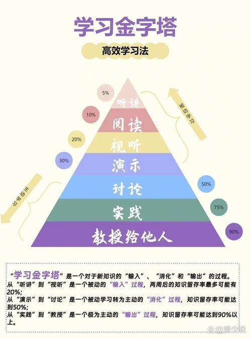 易学之家的智慧，解锁生活与学习的和谐共融插图
