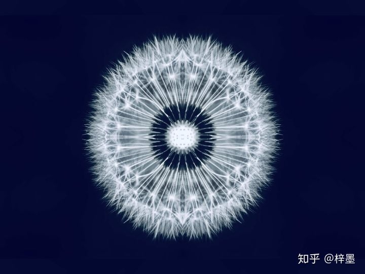 一瞥之语（创意独特）插图