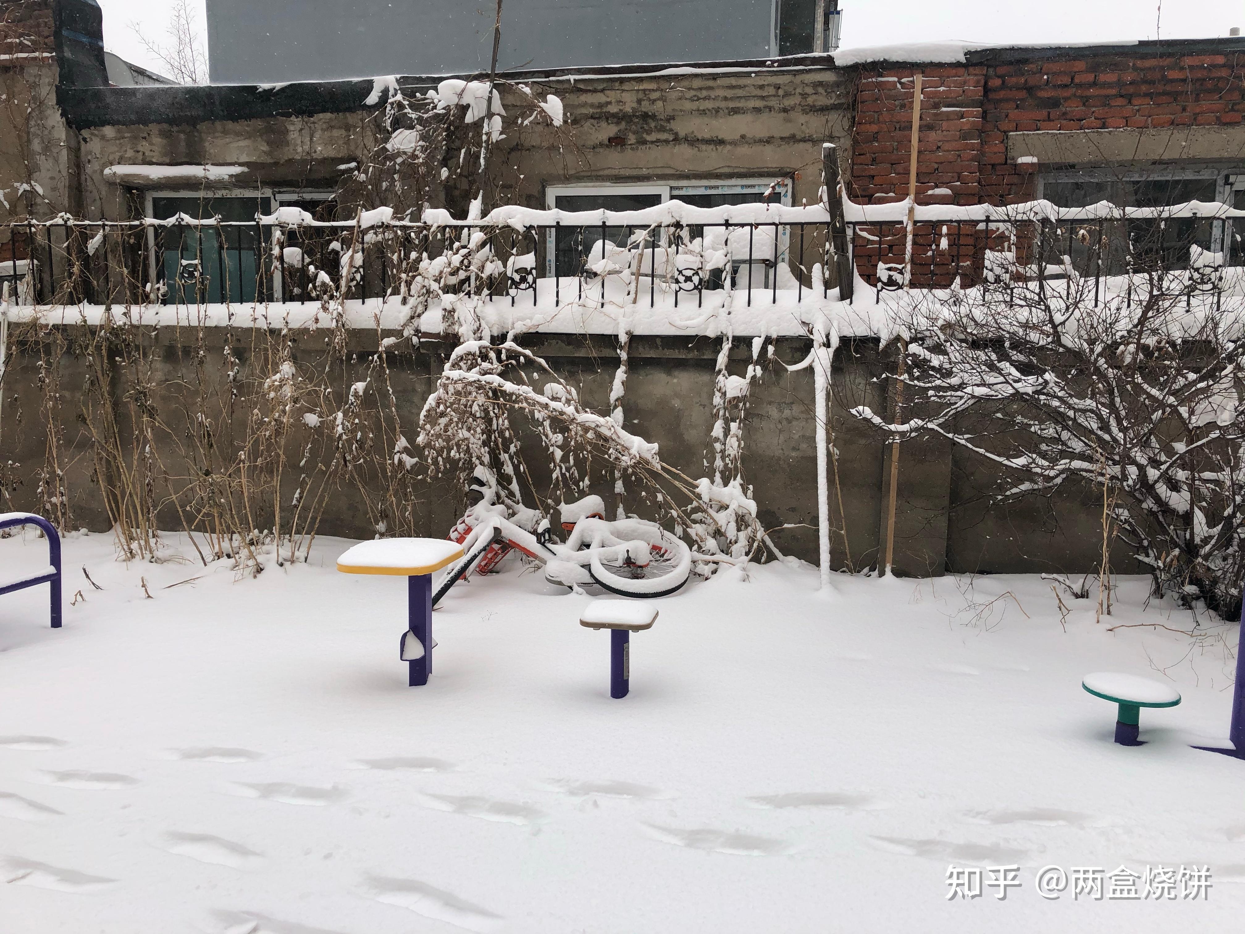一月四日，冬日里的温暖记忆插图