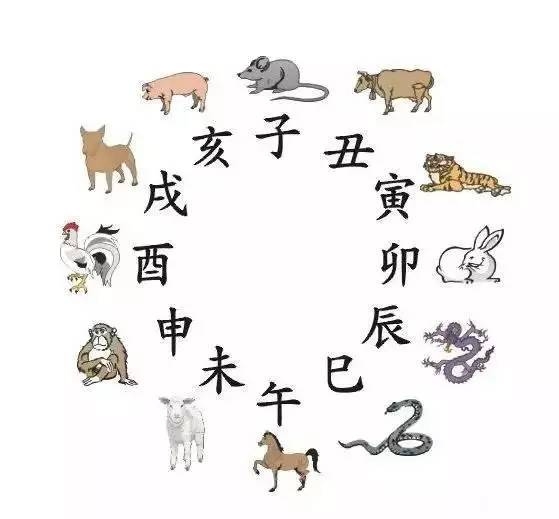 一字兼金指的是哪个生肖？插图