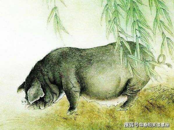 坐吃山空指的是生肖猪插图