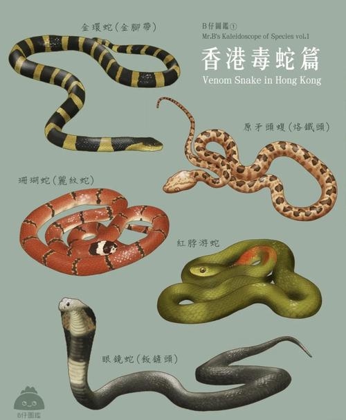 众多非一指的是生肖蛇插图