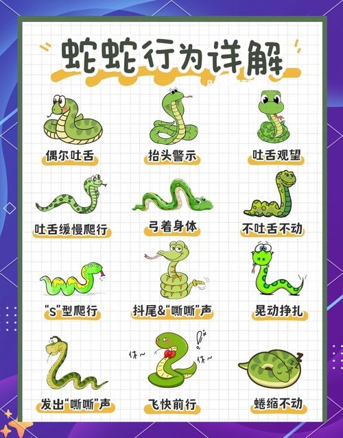 作法自毙指的是生肖蛇插图