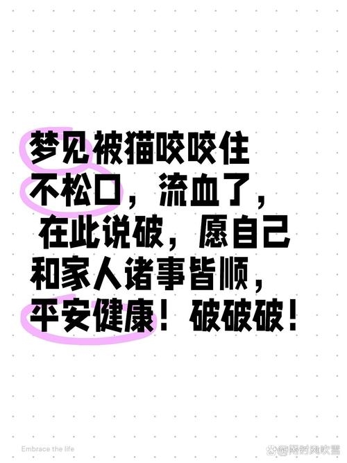 周公解梦，梦见被猫咬预示压力缓解 。插图