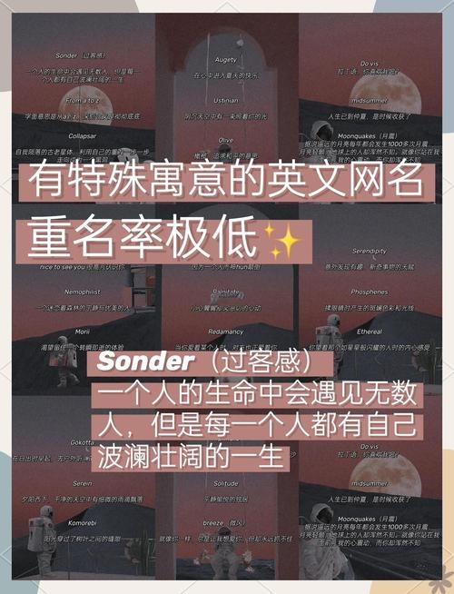 最好听的英文名，为你的个性添上一抹独特色彩插图