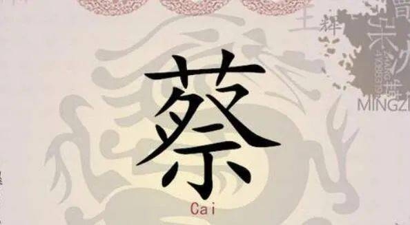 中华姓氏源流树,探寻古老姓氏的起源与演变插图 中华姓氏源流树,探寻古老姓氏的起源与演变插图