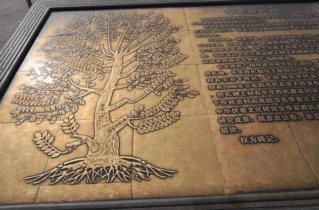 中华姓氏树高清图插图 中华姓氏树高清图插图