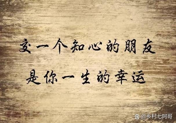 知己交友网,连接心灵的桥梁插图 知己交友网,连接心灵的桥梁插图