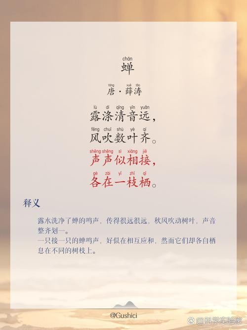 知了的拼音，探索自然之音的奥秘插图