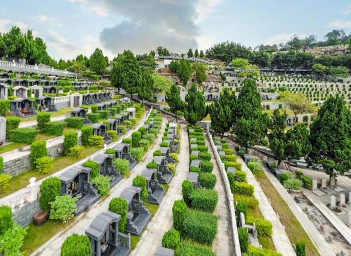 自然的坟墓，探索人类与自然环境和谐共存的边界插图