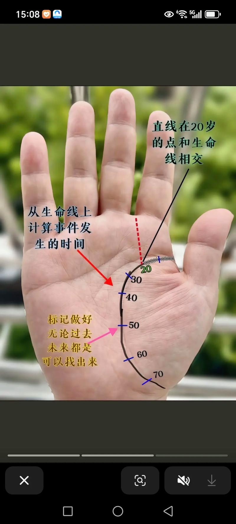 早死的手相，探索古老智慧与现代科学的交汇插图