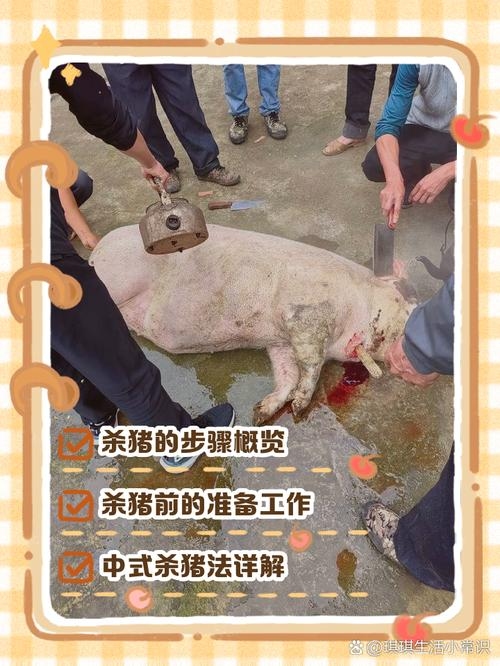 装死买活与生肖相关,属猪最贴切。插图 装死买活与生肖相关,属猪最贴切。插图