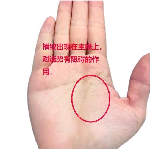 早死手相关键信息插图