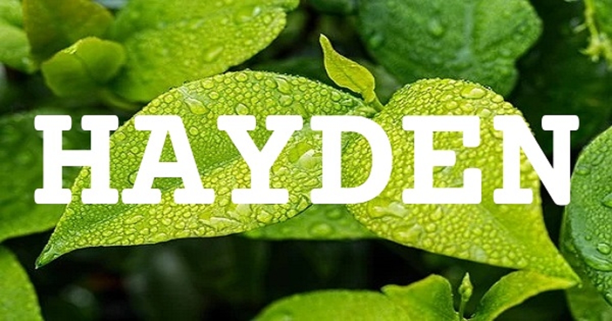 中文名海平的英文取名为Hayden插图