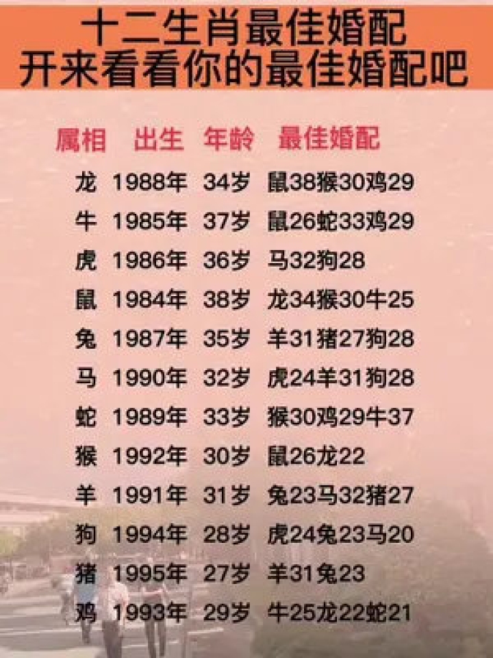 在线合婚，打破传统婚姻边界，开启新体验之旅插图