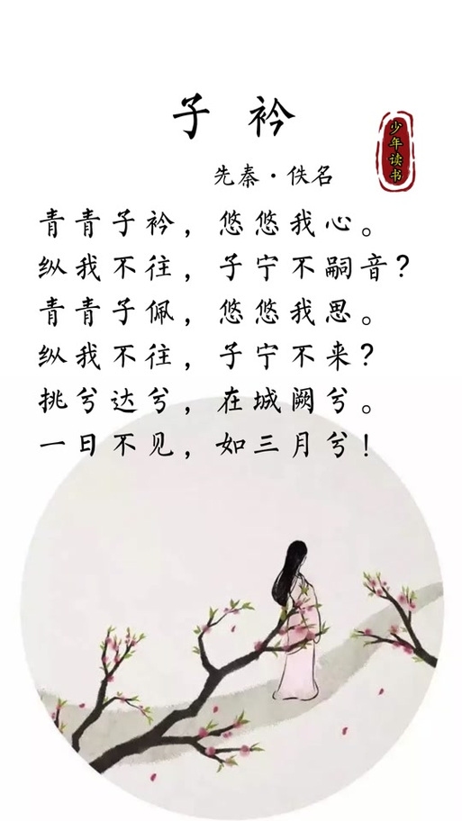 子衿情深，一生相伴插图