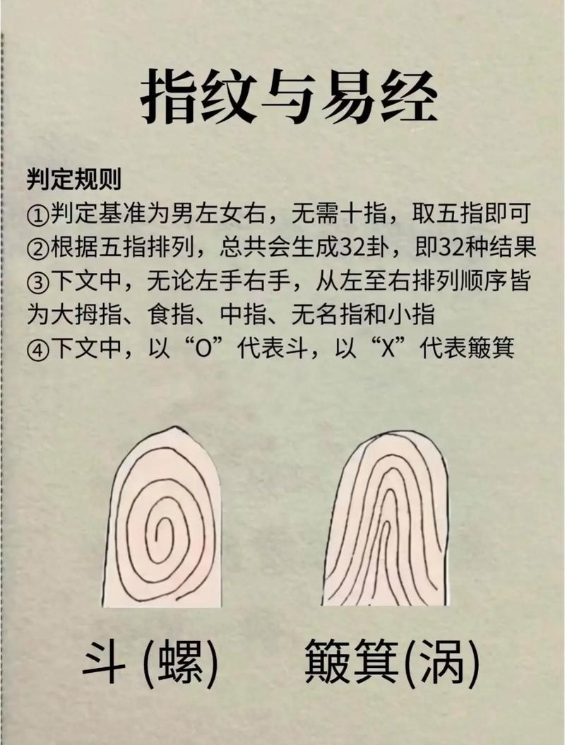 指纹算命网，解锁命运的秘密插图