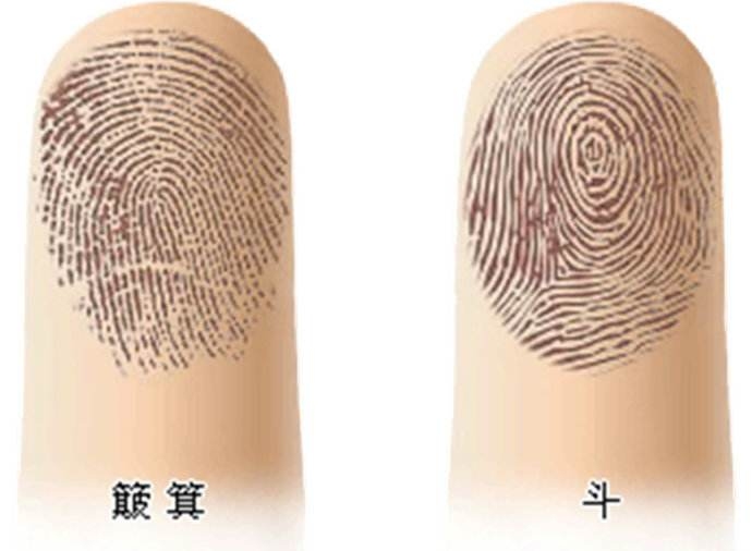 指纹算命，揭开数字背后的神秘面纱插图