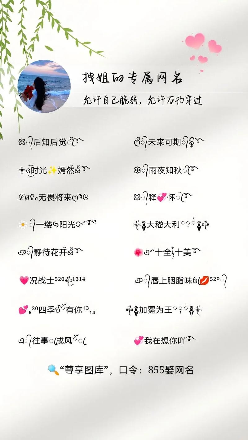 最拽网名，彰显个性，引领潮流插图