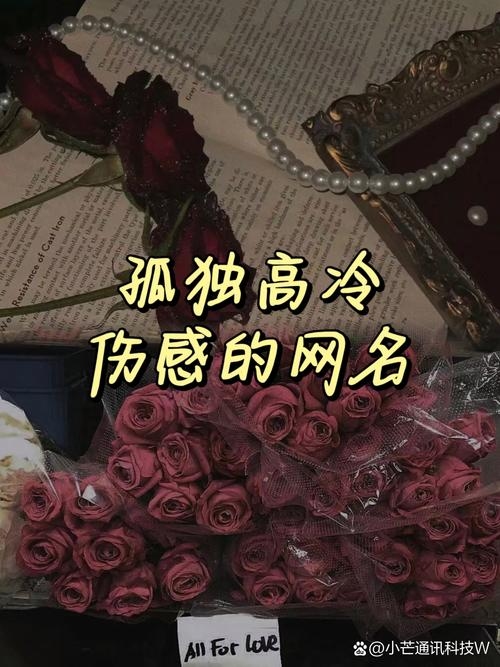 最新伤感网名精选，表达内心悲伤与孤独插图