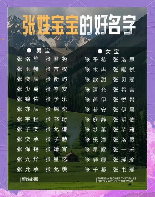 最新宝宝名字，张思涵——寓意深邃智慧，心胸宽广。插图