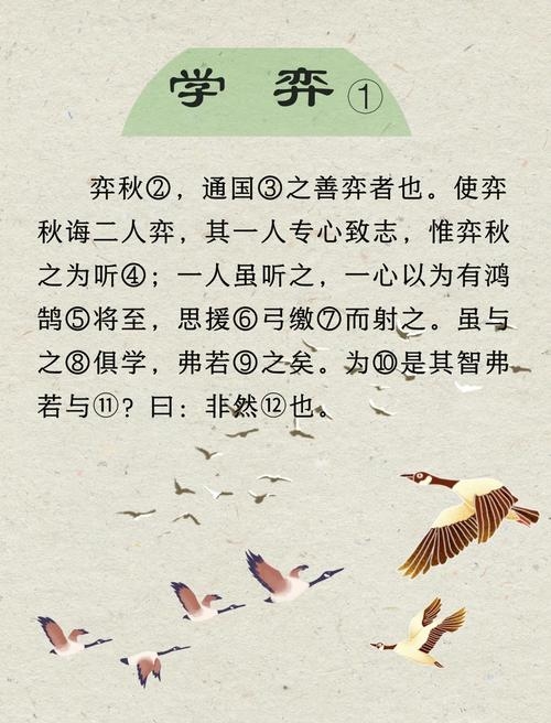 知秋相学,探索智慧与美学的融合之道插图 知秋相学,探索智慧与美学的融合之道插图