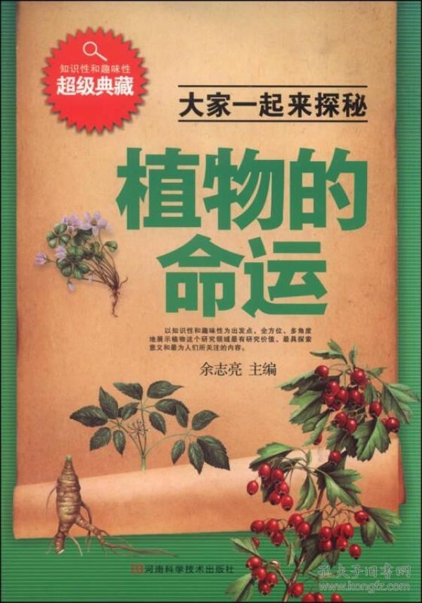 怎样给自己算命,探索个人命运的奥秘插图 怎样给自己算命,探索个人命运的奥秘插图